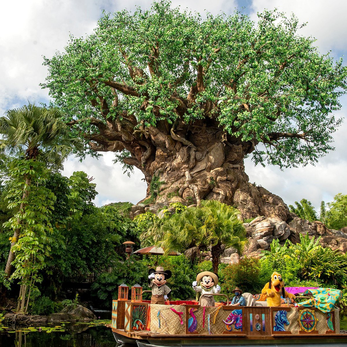 Animal Kingdom